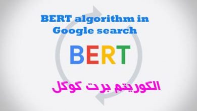 الگوریتم برت BERT گوگل چیست